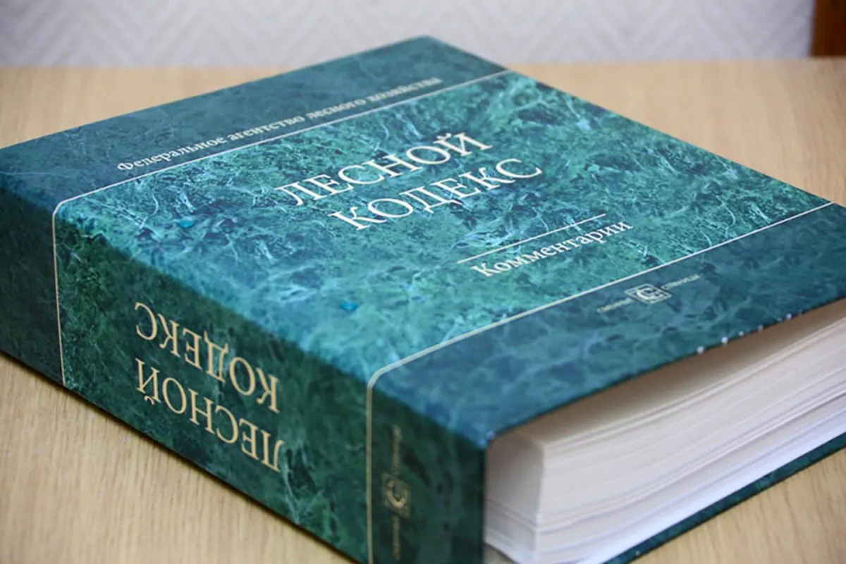Лесной кодекс, принятый в 2006 году, претерпел десятки поправок, из‑за чего утратил актуальность, считает эксперт. Он предлагает заменить документ на упрощённый и более компактный правовой акт.