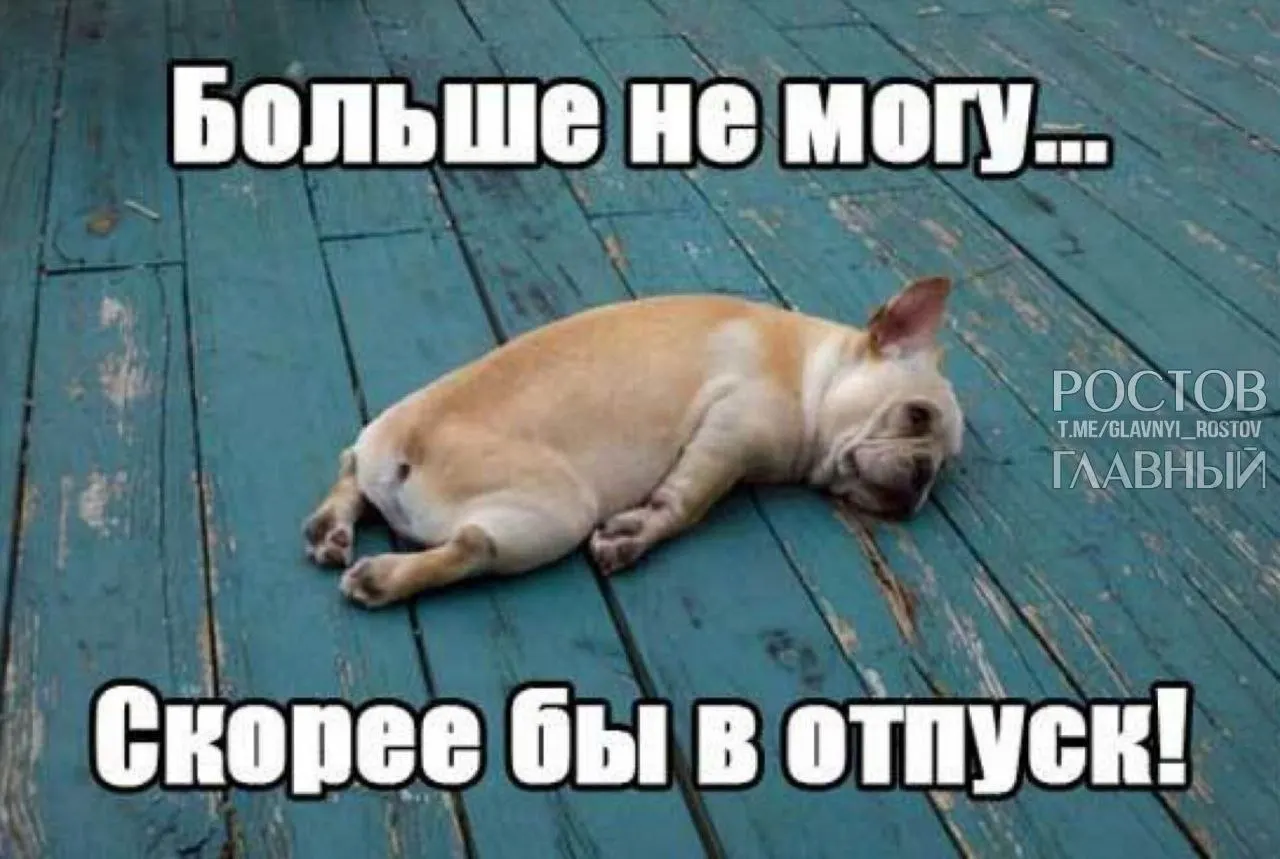 Депутаты предлагают поднять минимальную продолжительность ежегодного оплачиваемого отпуска с 28 до 35 дней, чтобы учесть выходные, которые сейчас входят в отпуск, и снизить риск профессионального выгорания.
