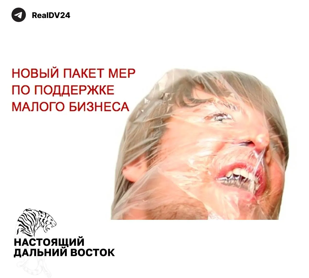 Федеральная налоговая служба направила регионам рекомендации по увеличению налоговых поступлений: предложения касаются налогообложения недвижимости по кадастру, транспортного налога, льгот для бизнеса и усиления контроля за землёй.