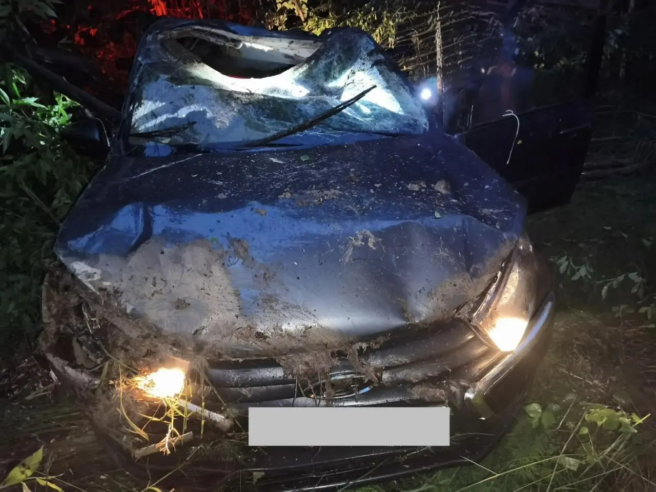 Вечером 20 июня на 20 км автодороги «Мураши — Опарино — Скрябино» автомобиль врезался в дорожный знак и съехал с дороги: водитель погиб, пассажир получил травмы.