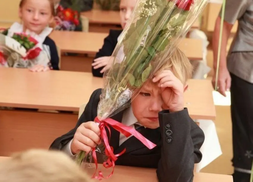Замглавы Минпросвещения заявил, что 11 лет — оптимальный срок обучения, и сокращать или увеличивать его сейчас не планируют; стандарты будут разрабатываться с учётом 11 классов.