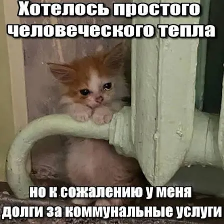 Верховный суд подтвердил, что срок исковой давности по общему правилу Гражданского кодекса — три года, и поэтому задолженности по капремонту старше этого срока не должны отражаться в платежках и лишают кредитора права на принудительное взыскание.