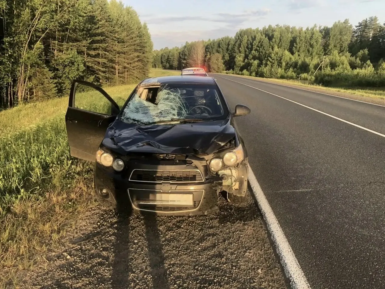 5 июля около 02:55 на 485 км автодороги «Кострома — Шарья — Киров — Пермь» легковой автомобиль сбил лося; пострадала 24‑летняя пассажирка.