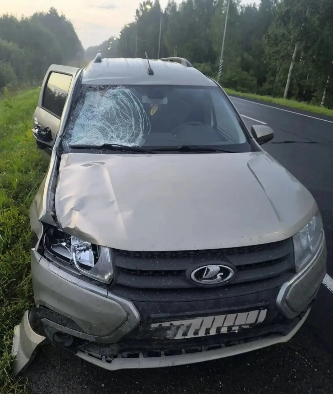 15 июля около 02:30 на 487 км федеральной автодороги «Кострома — Шарья — Киров — Пермь» водитель Lada Largus сбил 45‑летнего пешехода; мужчина скончался на месте.