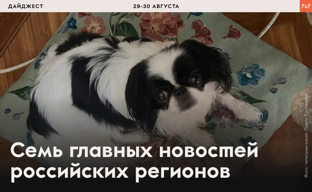 Краткий обзор недавних действий надзорных органов: аресты, проверки и региональные запреты на агитацию в нескольких регионах.