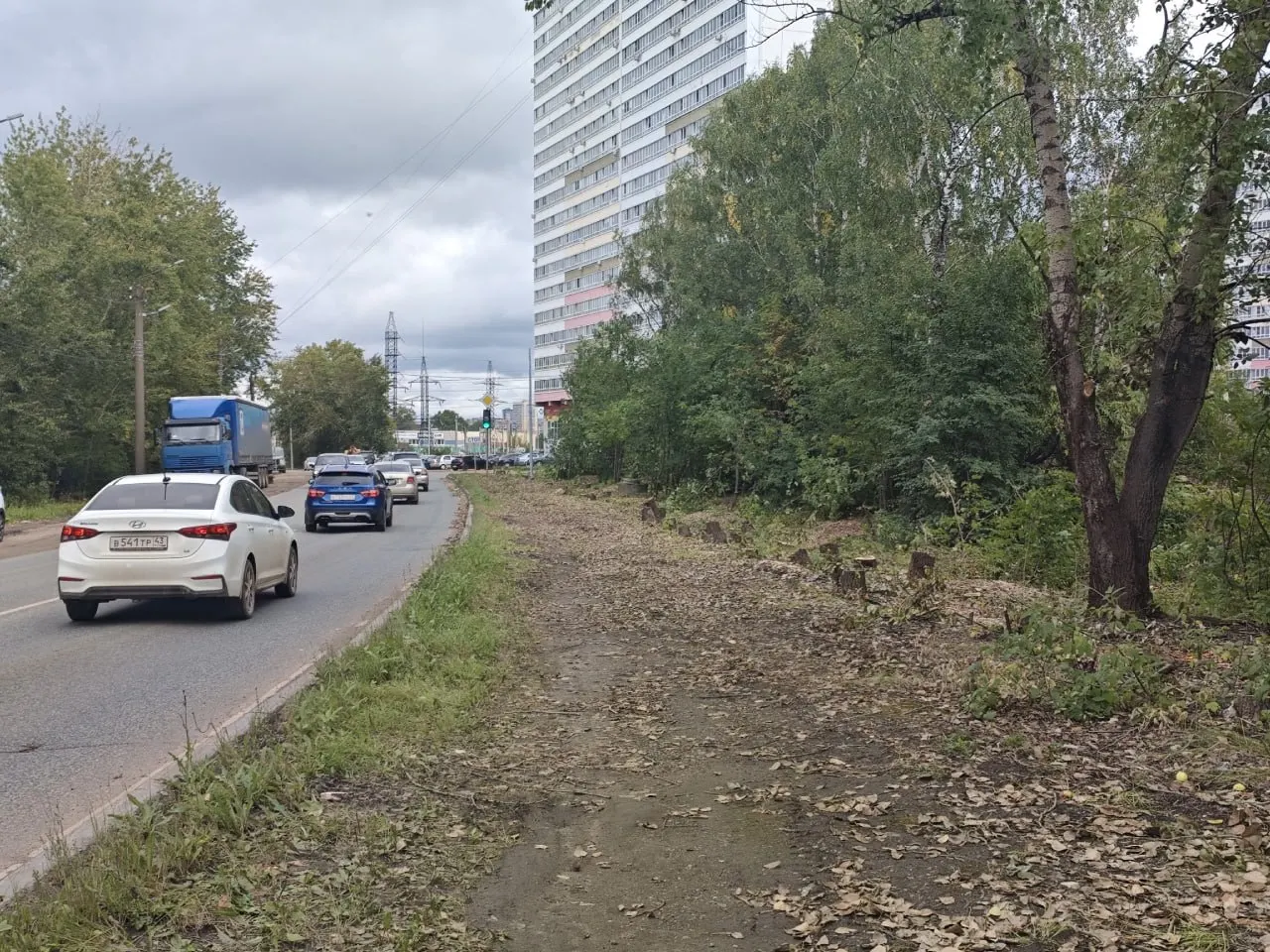 По словам депутата городской Думы, на участке от кольца до улицы Лесной начаты работы по расчистке территории в рамках первого этапа проекта.