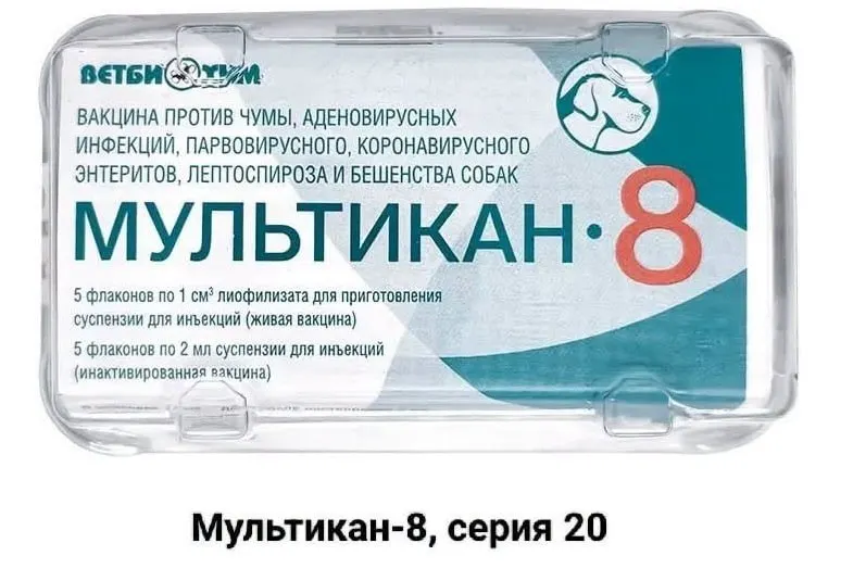 Владельцы собак сообщают о гибели питомцев после вакцинации и призывают провести независимое расследование и опубликовать результаты.