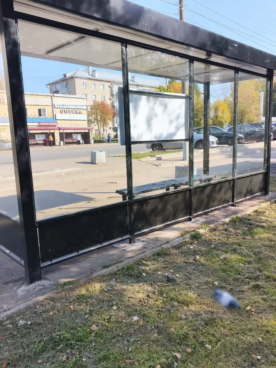 Жители Нововятска сообщают, что птицы не замечают прозрачное стекло на остановке «Универмаг» и врезаются в него на высокой скорости.