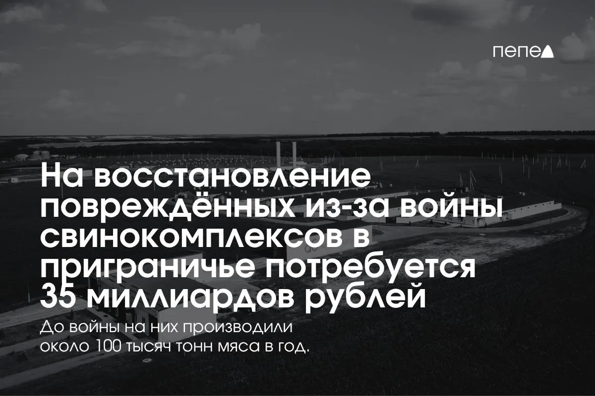Расходы на восстановление свинокомплексов в приграничных Белгородской, Курской и Брянской областях составят около 35 млрд рублей; отрасль вынуждена усиливать меры безопасности и изменять логистику.