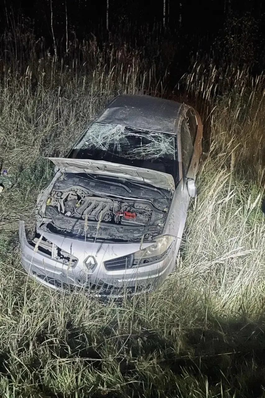 Дорожно-транспортное происшествие в Советском районе: водитель Renault Megane наехал на медведя, автомобиль съехал в кювет и опрокинулся; пострадал водитель.